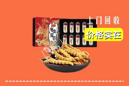 咸阳市长武回收冬虫夏草